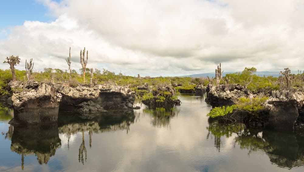 Evasion liberté aux Galápagos 8 jours