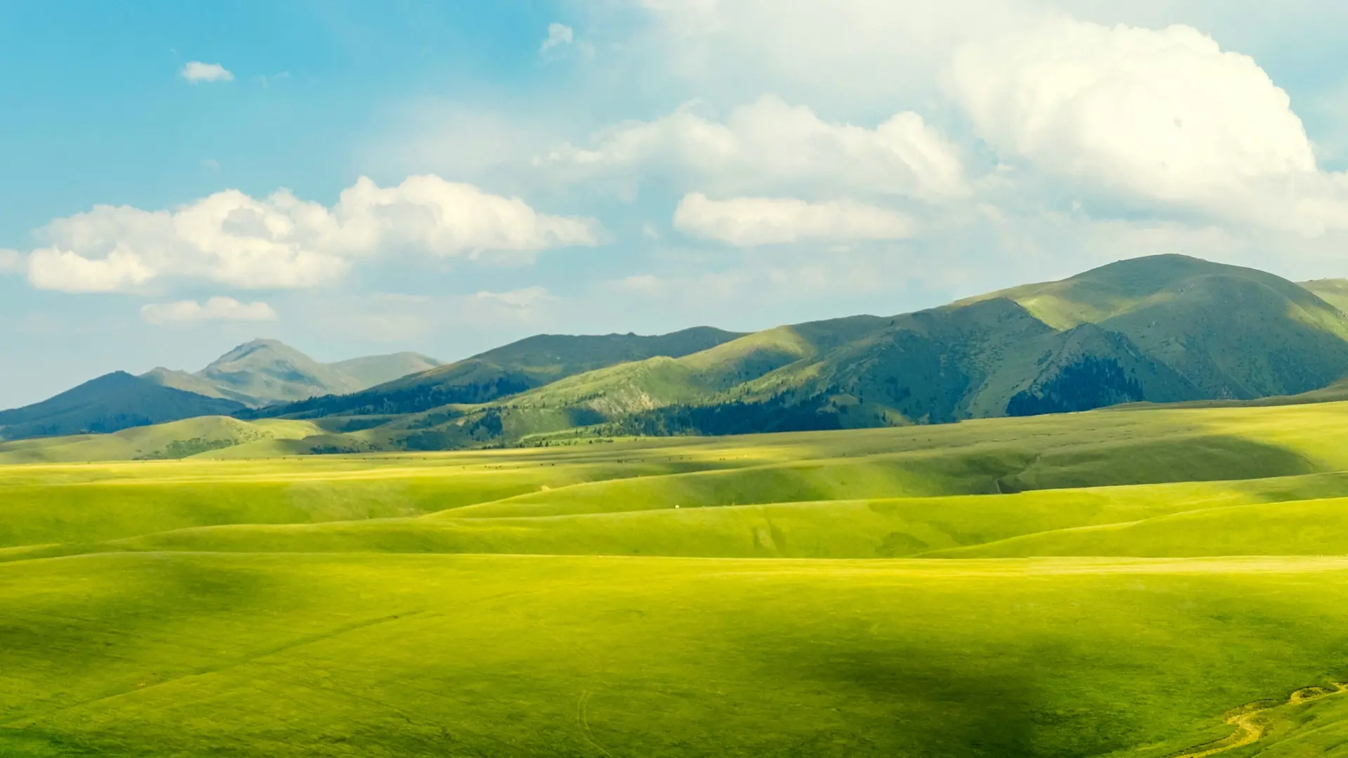 Steppes infinies