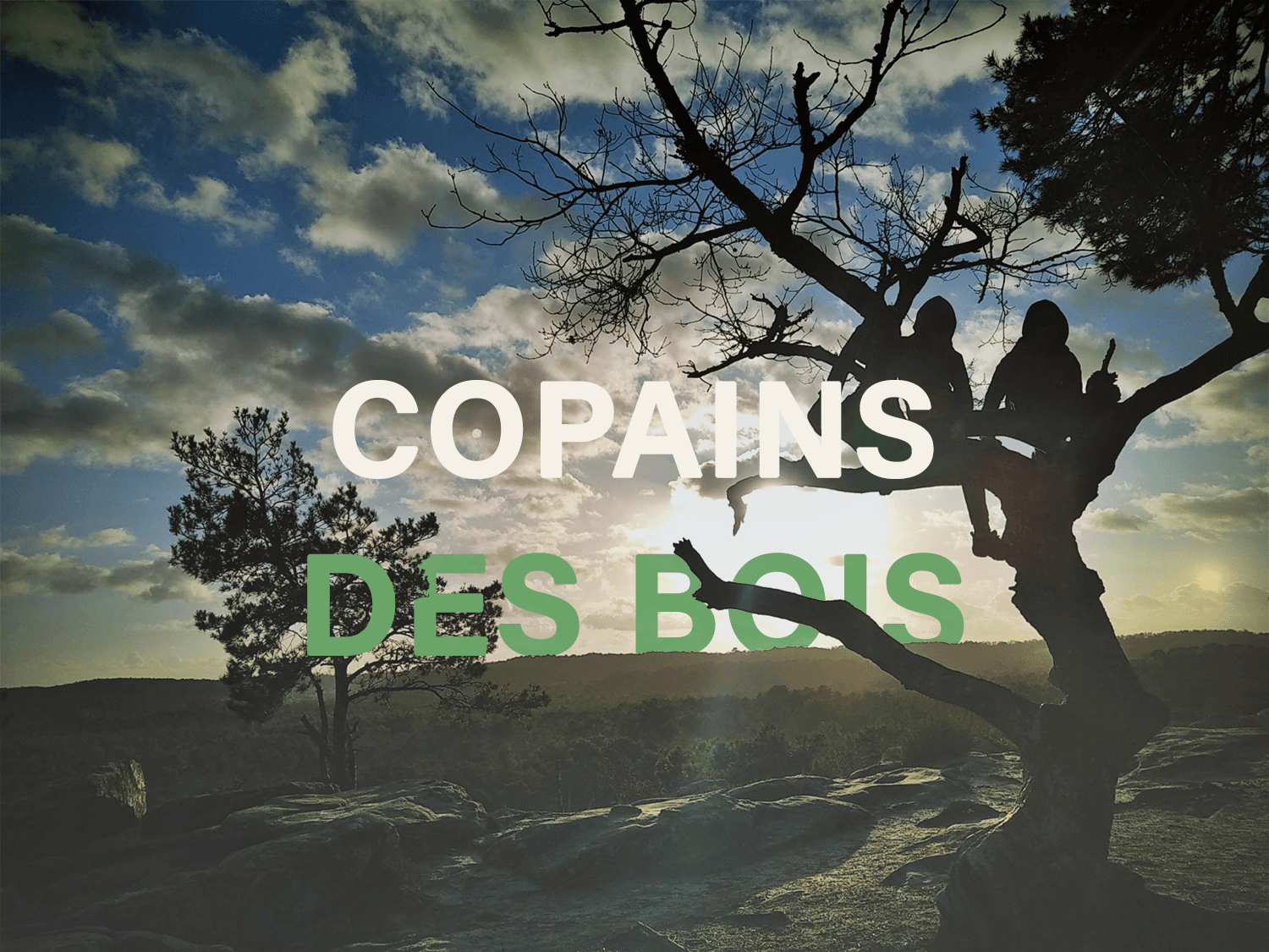 Week-end multi activité famille en forêt de Fontainebleau
