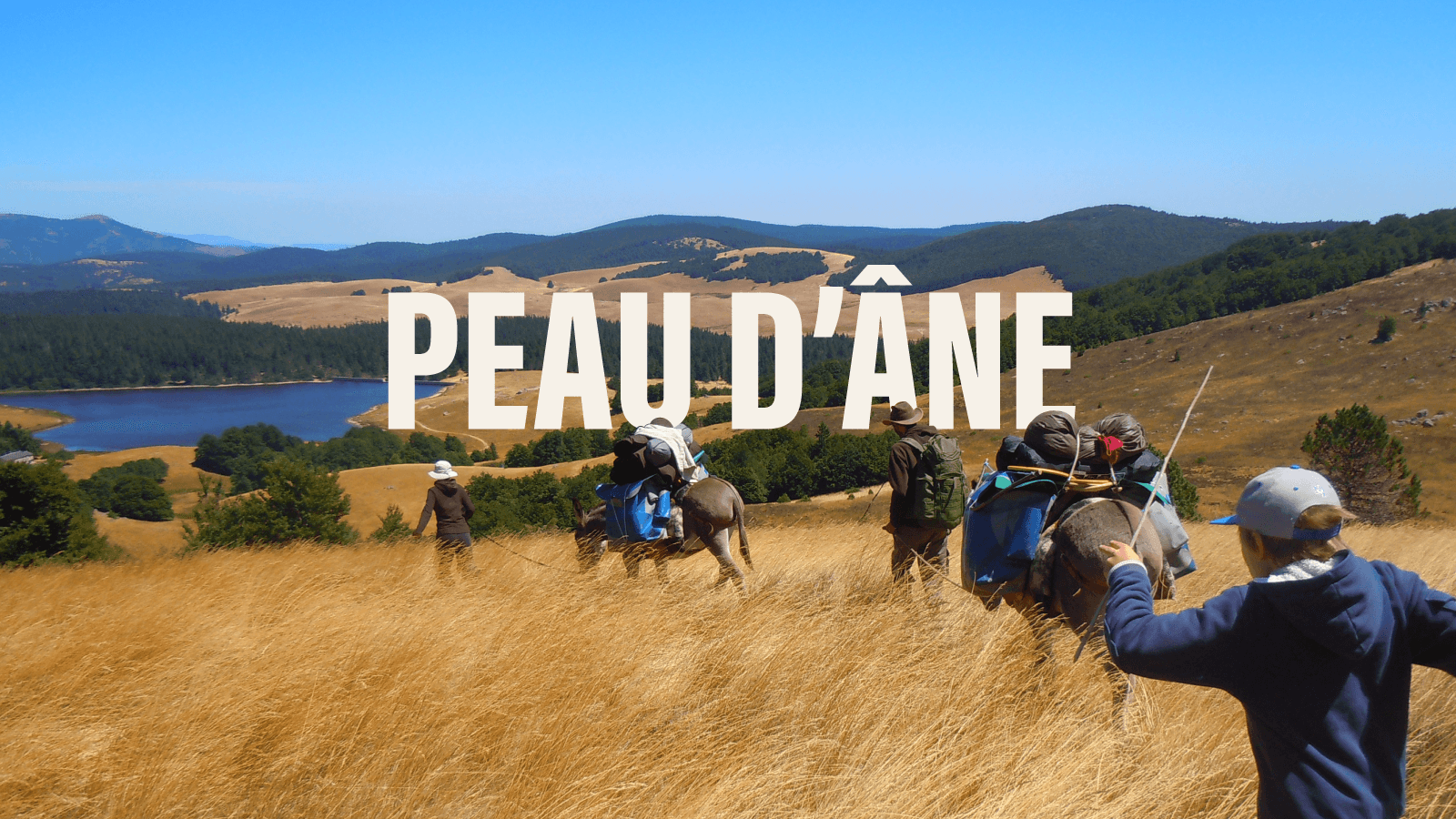 Rando avec un âne dans les Cévennes, sur les pas de Stevenson