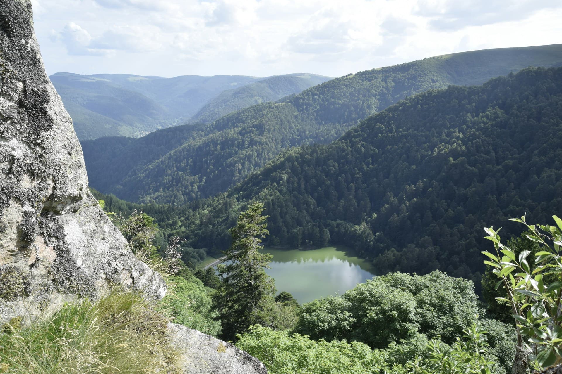 Vosges