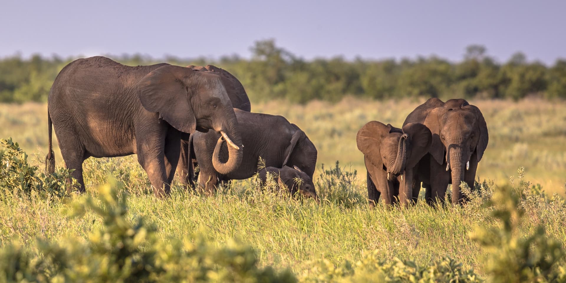 Du Kruger à l'Elephant Coast via le Swaziland