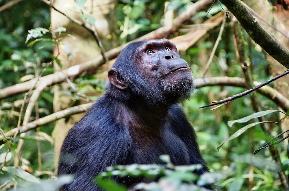 Jour 5