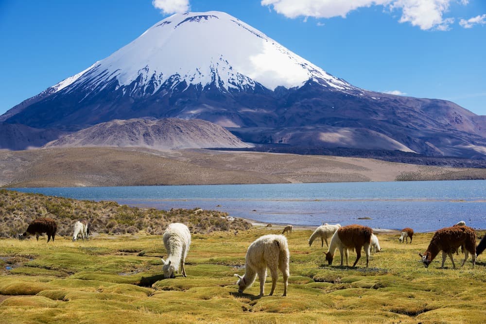 Parc national Lauca