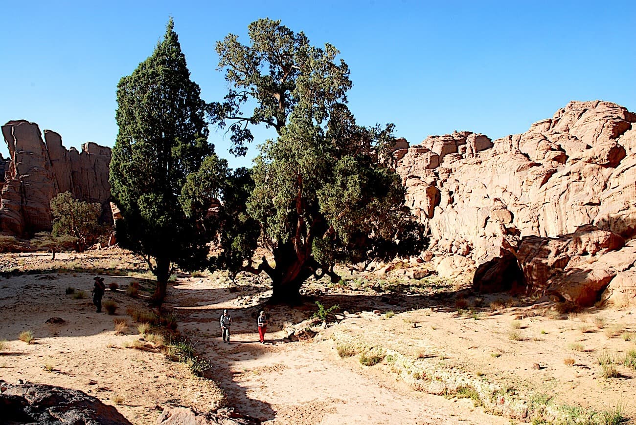 Au pays des Kel Medak, de Sefar, Tamghit à Jabbaren
