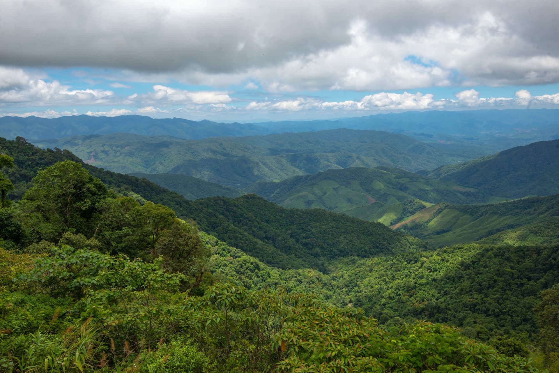 Parc national de Doi Phu Kha