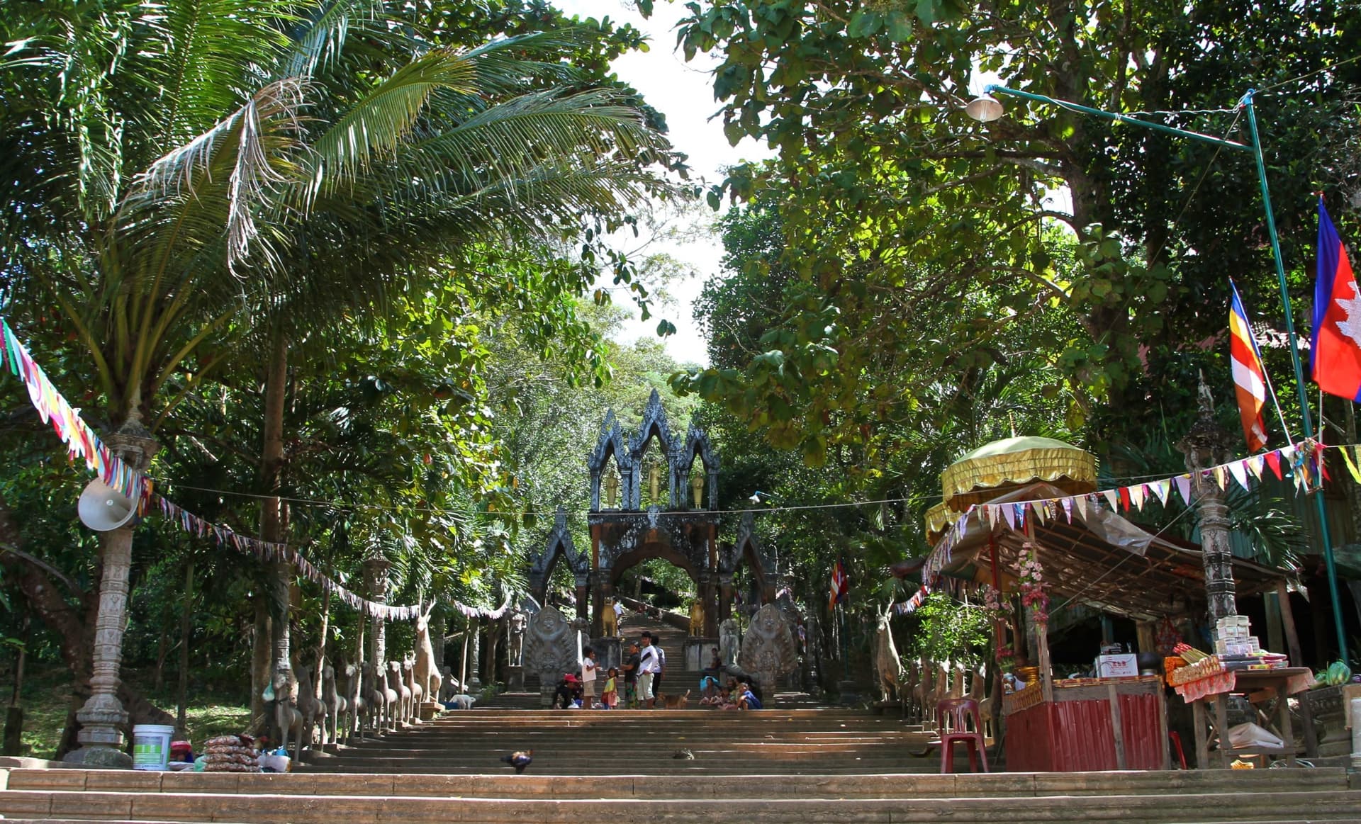 Centre d'Angkor pour la Protection de la Biodiversité