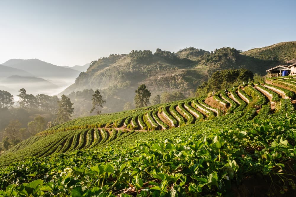 Le Massif Doi Ang Khang