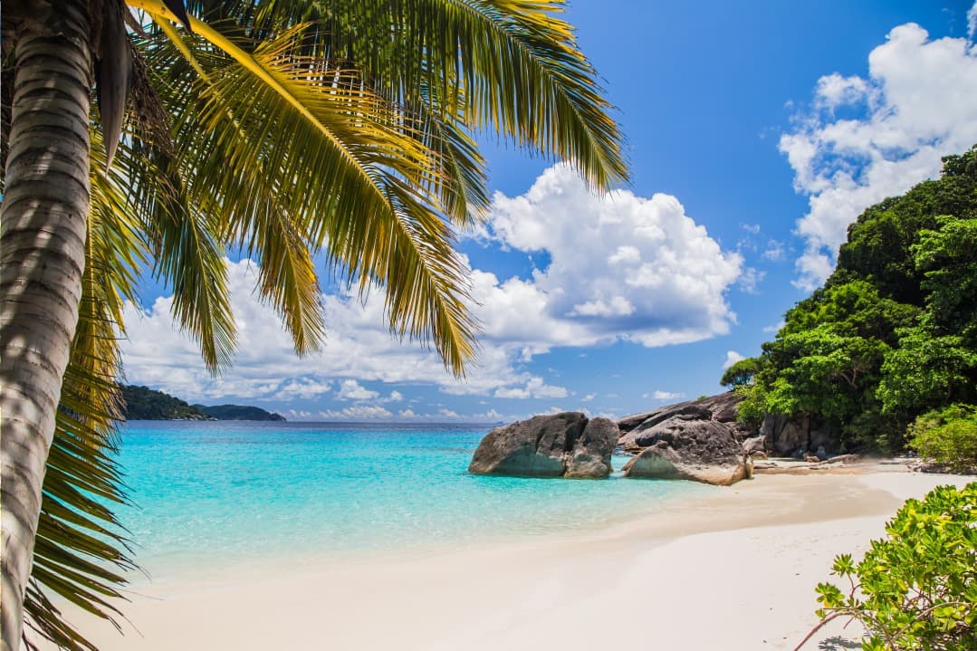 Tout savoir sur les excursions à faire aux îles Similan