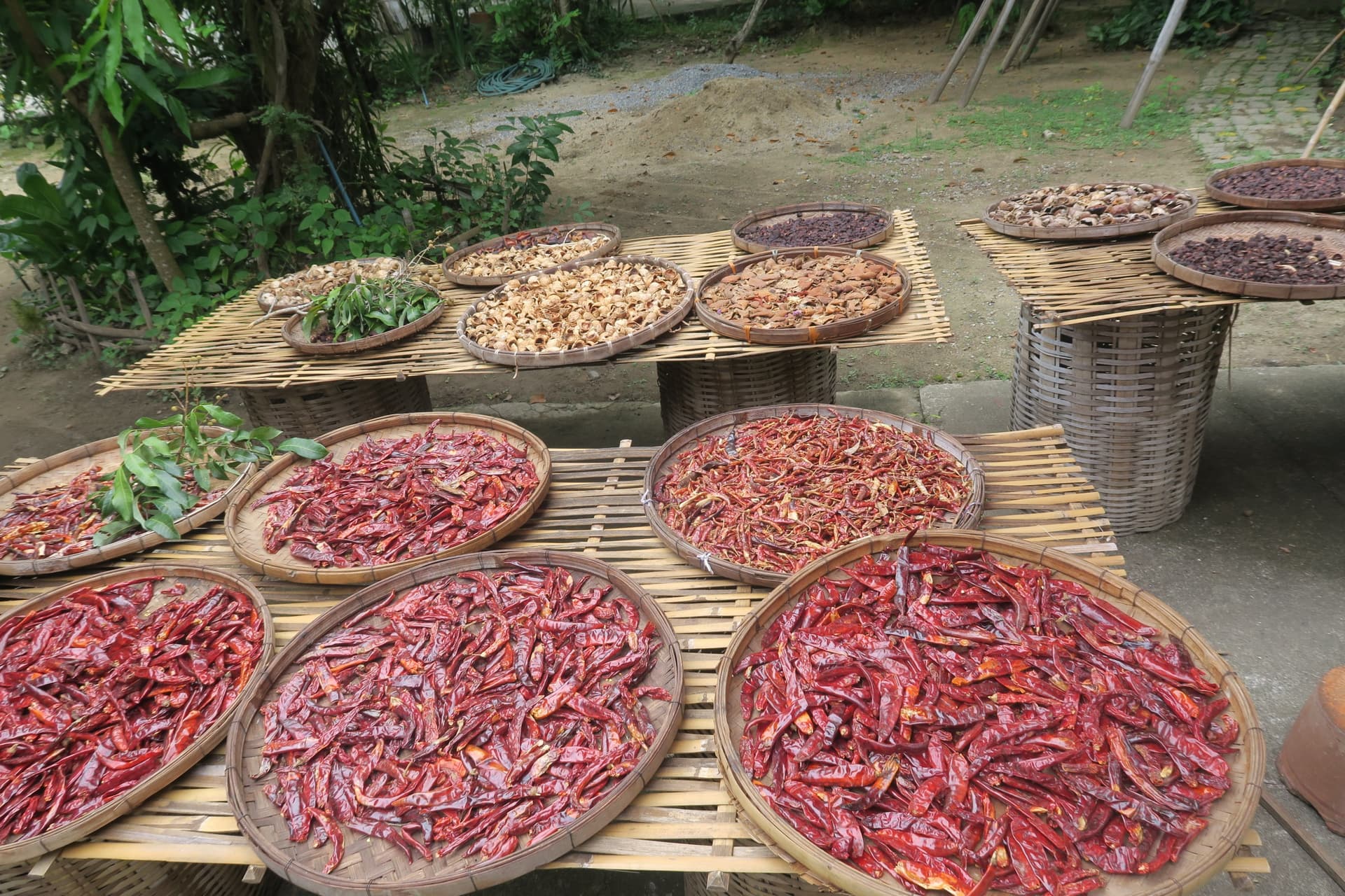Cours de cuisine Thaï