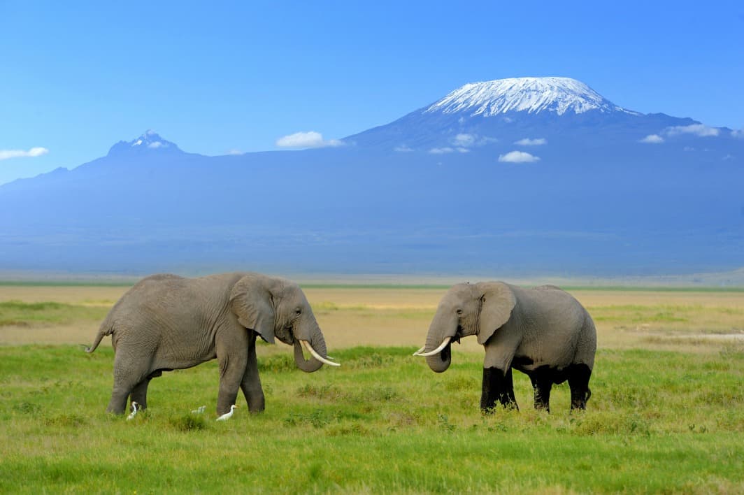 Kilimandjaro