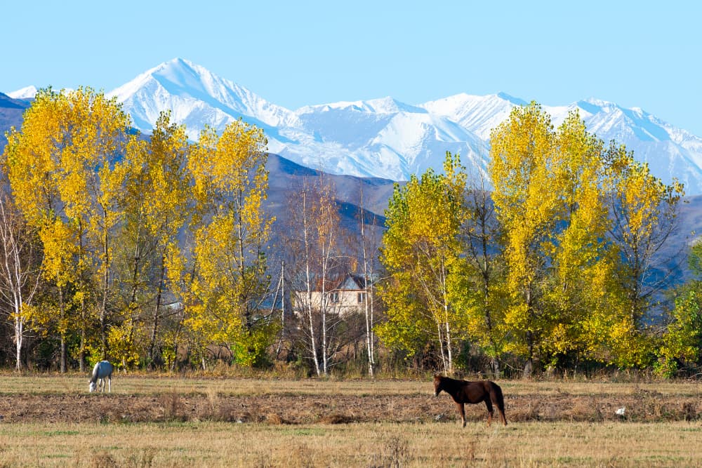 Le parc national Chon-Kemin