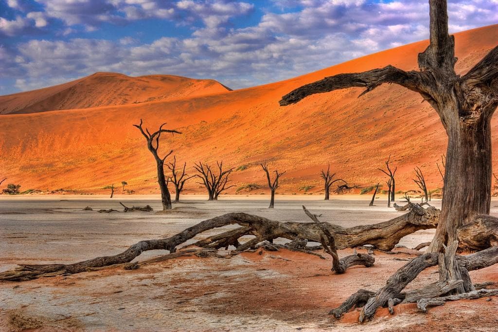 Windhoek / Desert du Namib