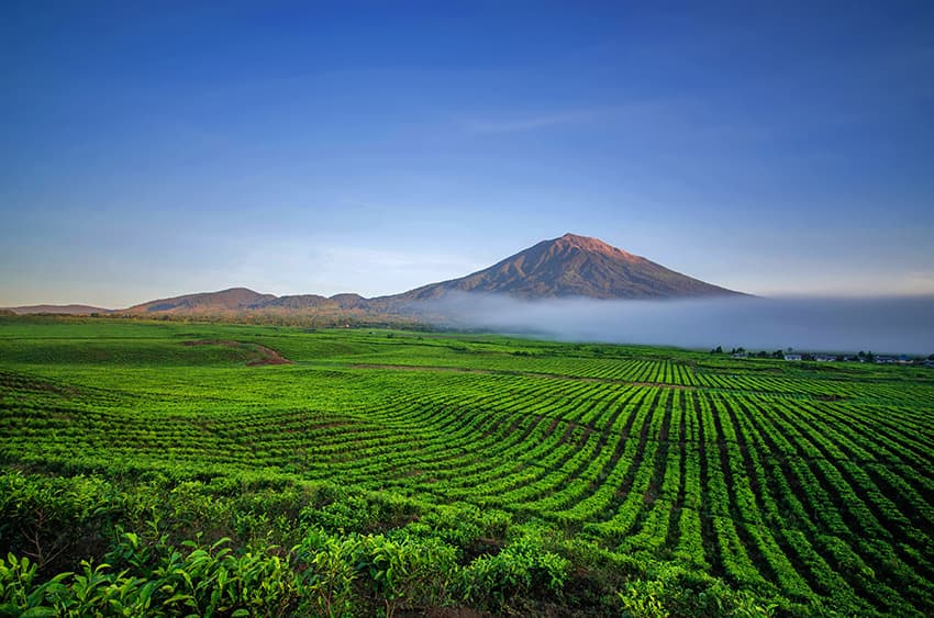 Sumatra: la vallée secrète