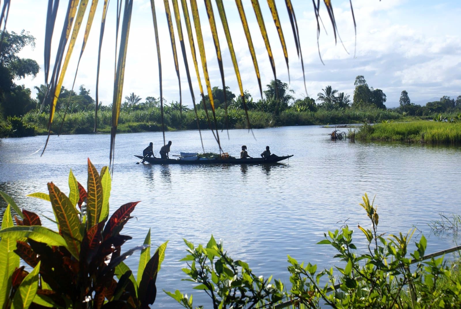 Canaux et Luxuriance de l'Est Malgache