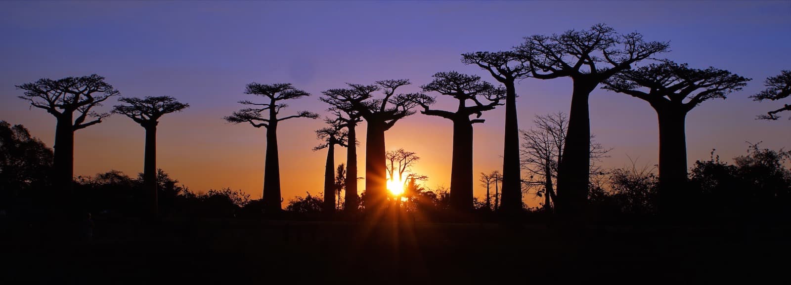 Alla scoperta di Madagascar da Ovest a Est