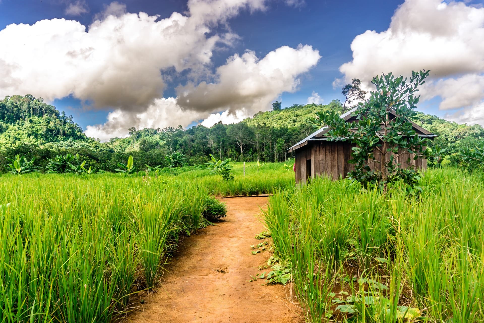 La province de Mondulkiri