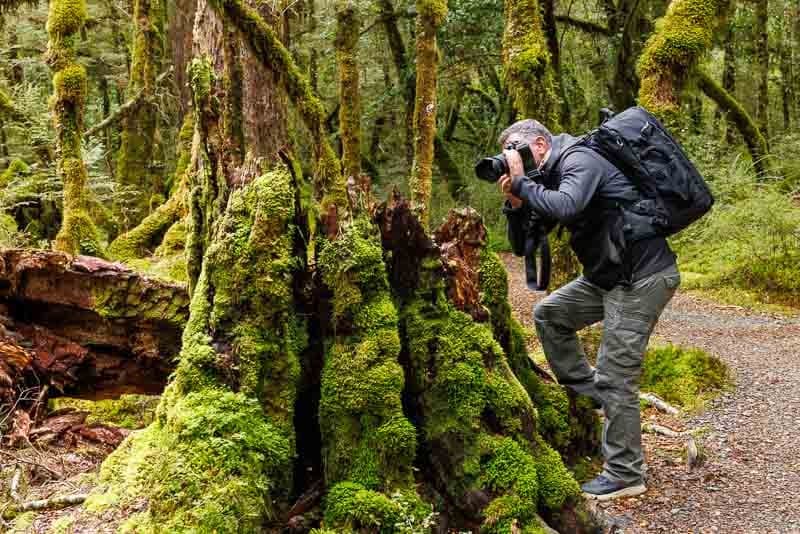 Voyage photo nature en Nouvelle-Zélande