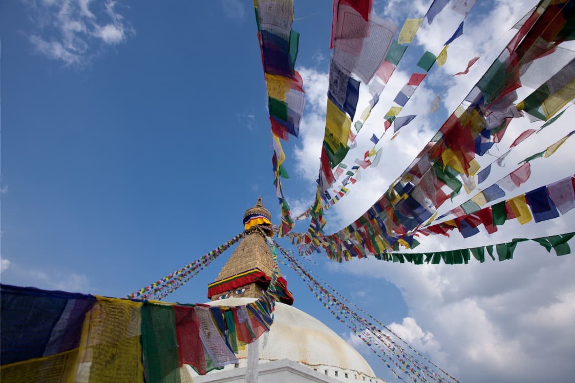 Jour 8
