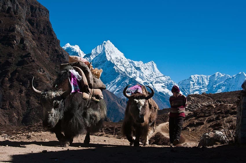 Namche Bazaar : a capital dos Sherpas
