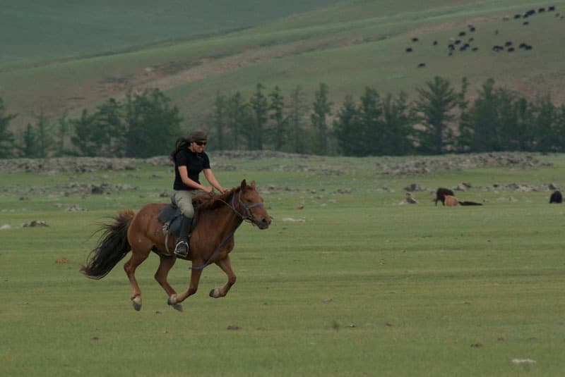 Chevauchée de l'Orkhon