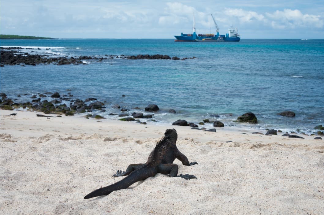 De Santa Cruz à San Cristobal