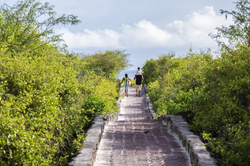 L’île de Santa Cruz en découverte libre